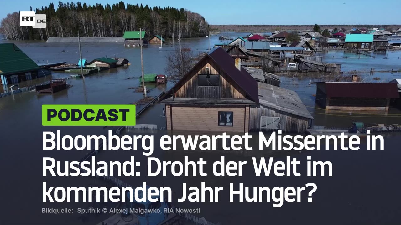 Bloomberg erwartet Missernte in Russland: Droht der Welt im kommenden Jahr Hunger?