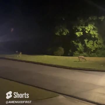 Haha I wonder what they eating 🙈😂 #nature