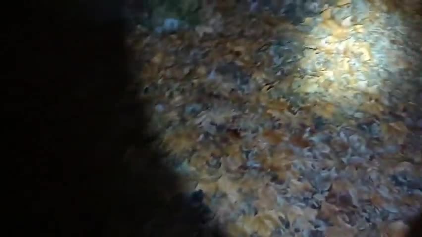 2022-12-29 (6) - Date Tinder + pénombre - Twitch Decheterie