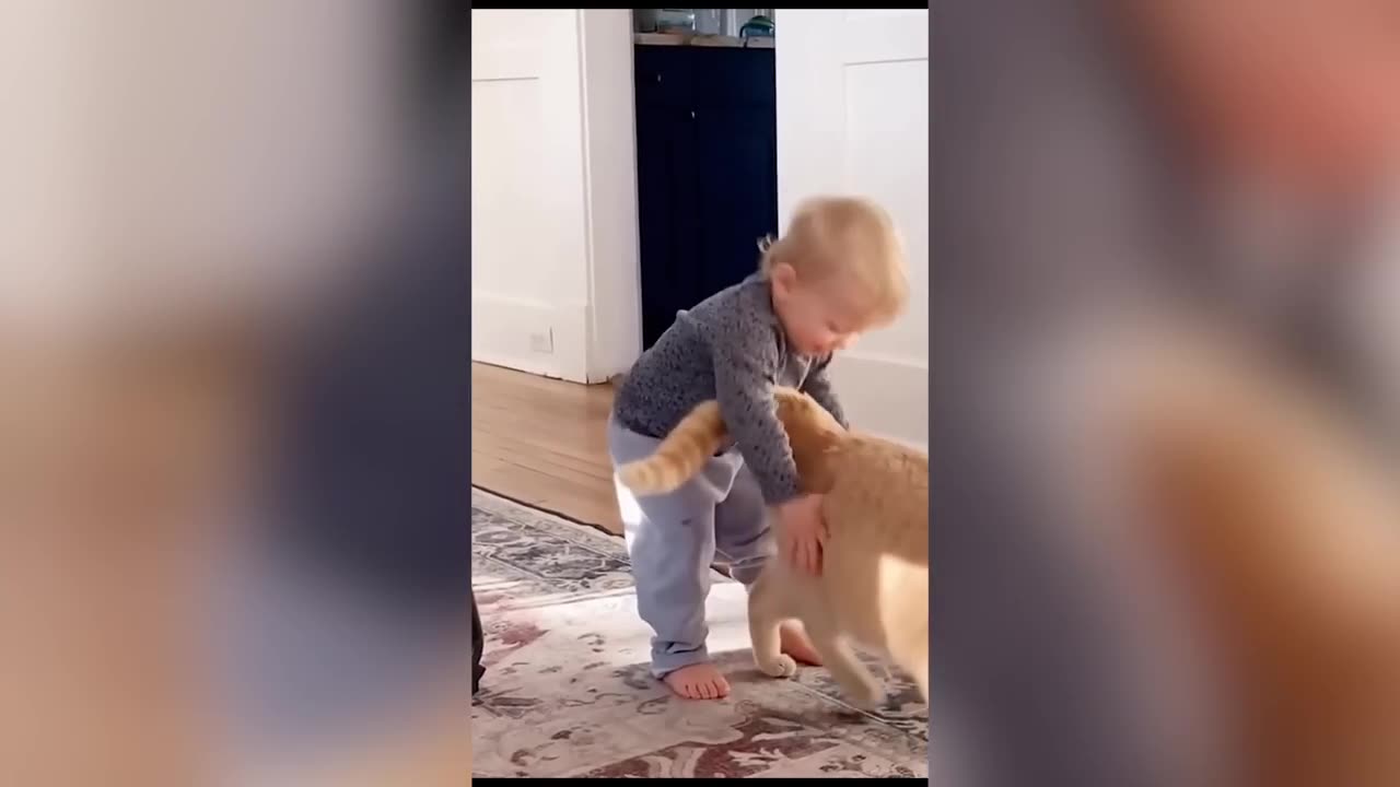 Funny Cats _ Dogs - Funny Animal Videos _ Try Not To Laugh Animals