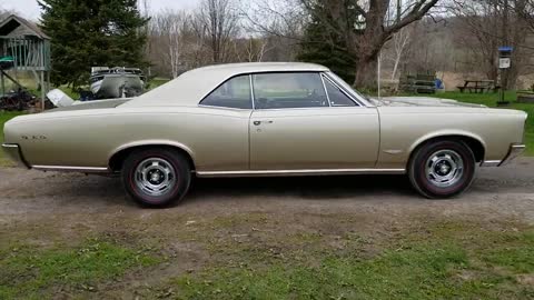 Pontiac GTO
