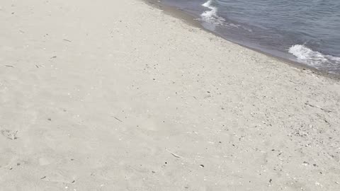 Beautiful beach