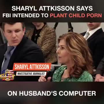 FBI - Sharyl Atkisson Says FBI Intended To Plant Child Porn