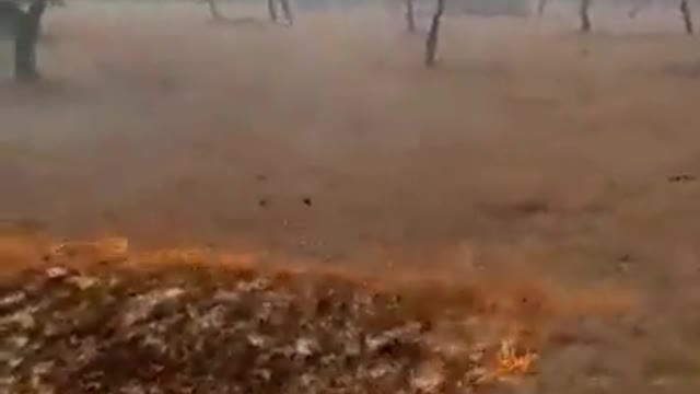 The speed of fire as it destroys everything in its path