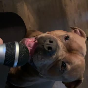 Kobe Karaoke