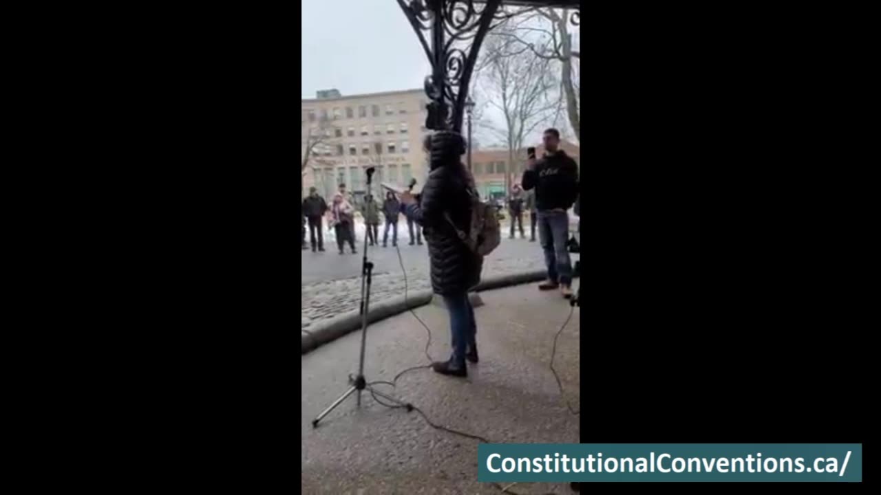 Barb Dempsey Time to get involved In Your Constitutional Conventions l