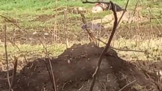 WAR IN UKRAINE DONETSK