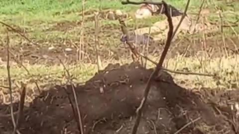 WAR IN UKRAINE DONETSK