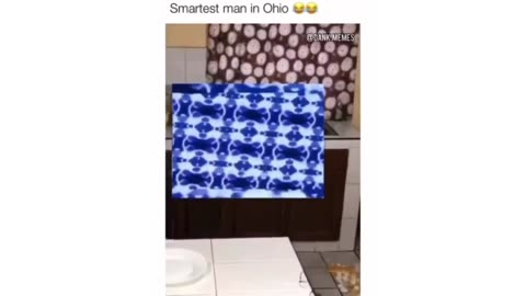 Hilarious Egg Carton Mishap!