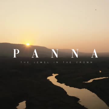 Wildlife in Close view with different perspective.