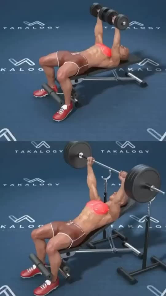 Muscle Building Exercises