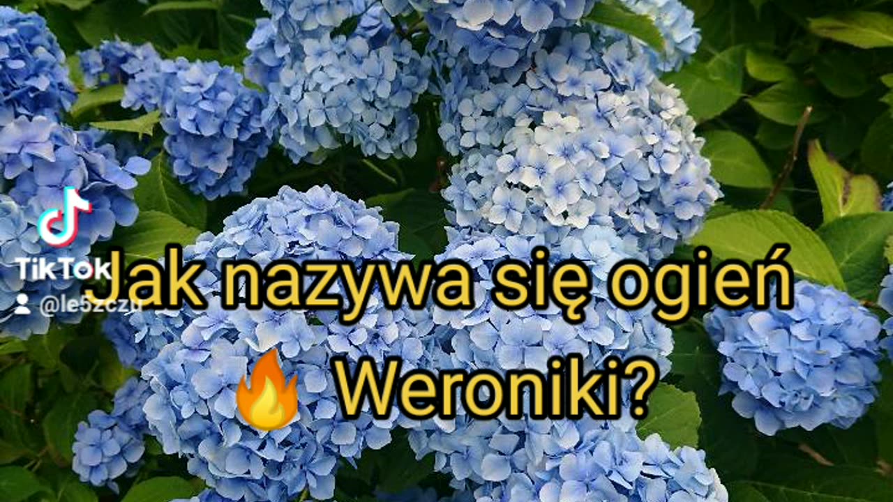 połykaczka ognia