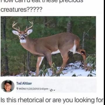 More Vegan Offensive Memes 😂 ylyl | Akornz Shortz Ep 41 #akornzstash