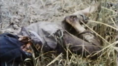 Gwynne Dyer - War (Documentary 1983) - Ep. 3 - The Profession of Arms