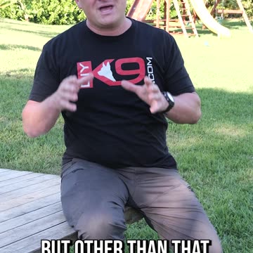 Charlie Brown and Littermate Syndrome in Puppies