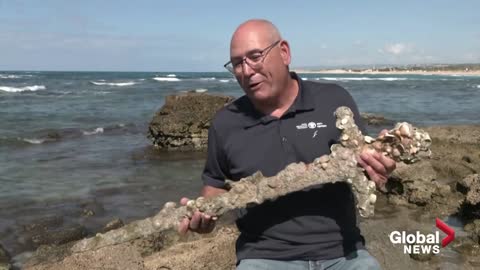 Centuries-old crusader sword found by amateur diver in Mediterranean Sea