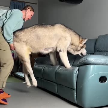 Love All Life Always #12 - Compassion and Love Personified...