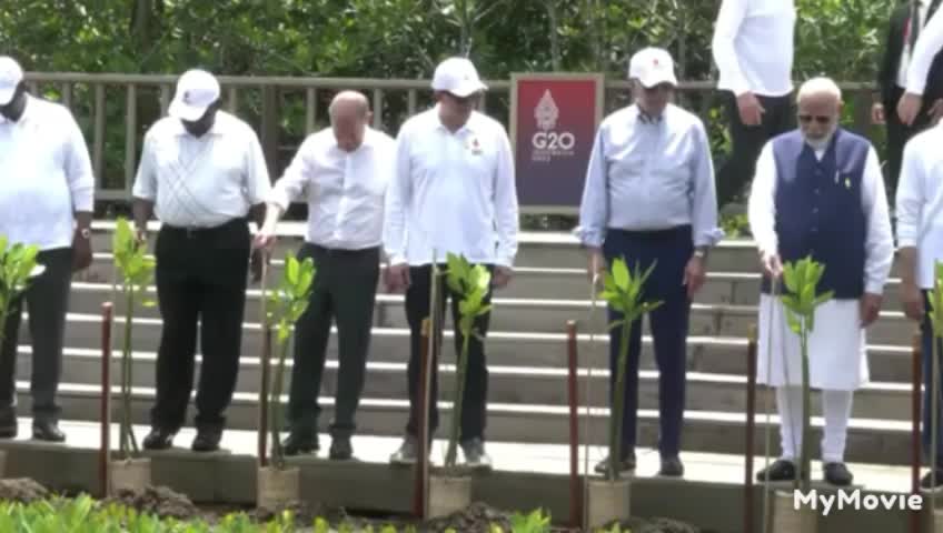 Leaders from the G20 visit the mangrove forest in Bali, Indonesia