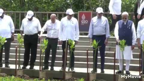 Leaders from the G20 visit the mangrove forest in Bali, Indonesia