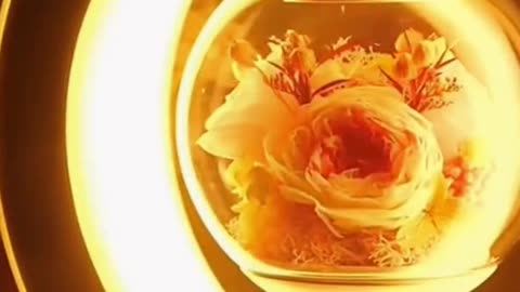 Magnetic Levitating Flower