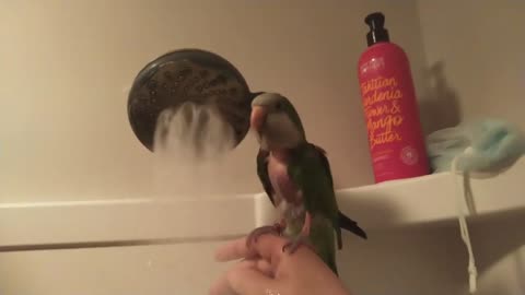 Yoshi patiently waits her turn