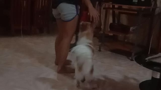 Gutom na si chico