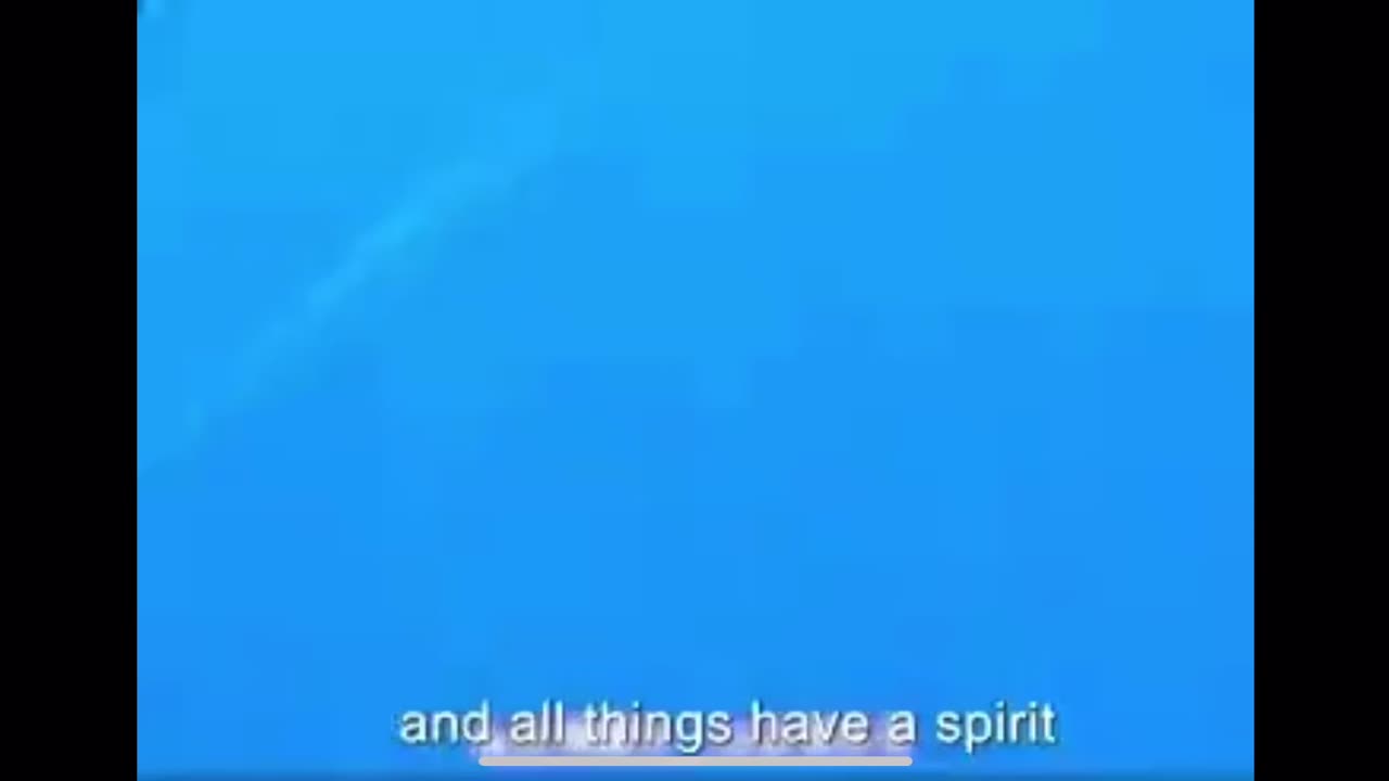 Cool shark story. 🦈