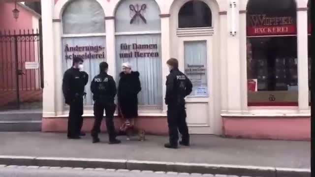 the gestapo arrests an old lady for walking her dog...