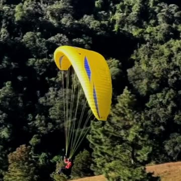Woman slams selfish paragliders who 'made her think Hamas were invading Doncaster'