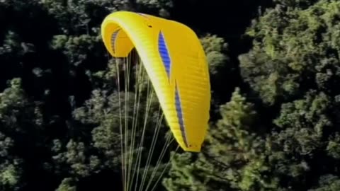 Woman slams selfish paragliders who 'made her think Hamas were invading Doncaster'