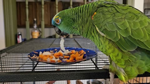 Rocco loves onions and mommy