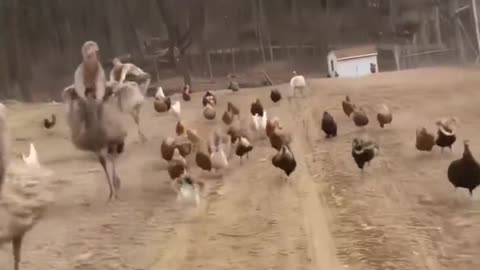 Not Sure What Is Happening