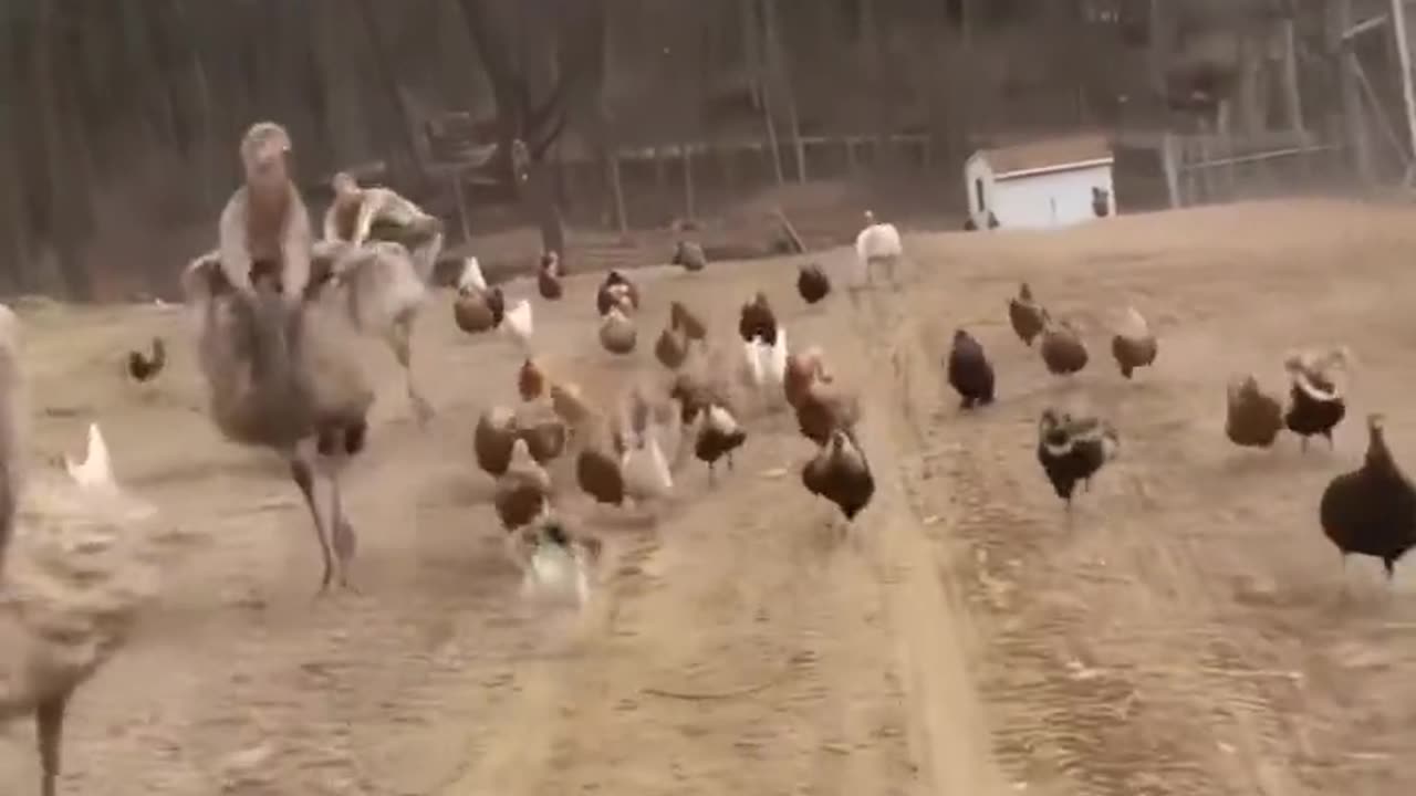 Not Sure What Is Happening