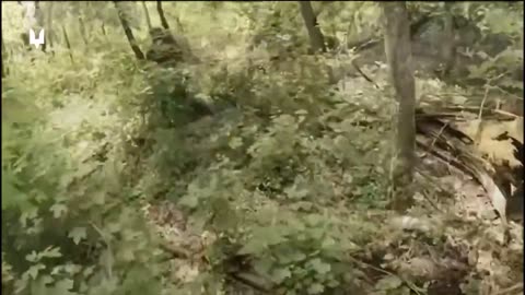 Incredible Forest Combat Footage