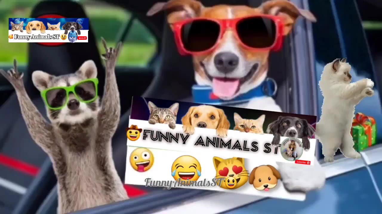 Funniest Cat and Dog videos 😻Best Funny Animals Videos in 2023 @FunnyAnimalsST #animals #cute #27