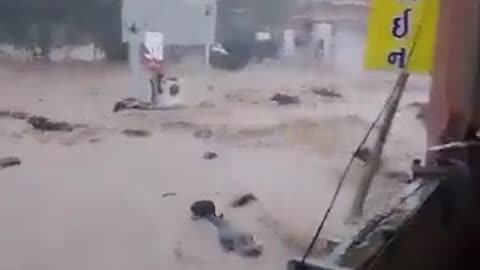 Rising floods in the Indian state of Gujarat, buffaloes were tragically washed away