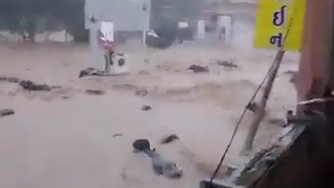 Rising floods in the Indian state of Gujarat, buffaloes were tragically washed away