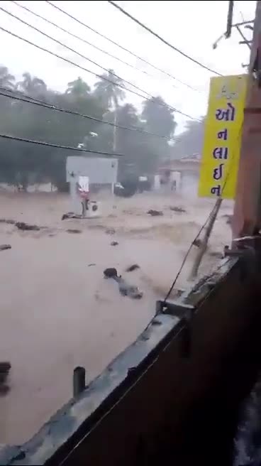 Rising floods in the Indian state of Gujarat, buffaloes were tragically washed away