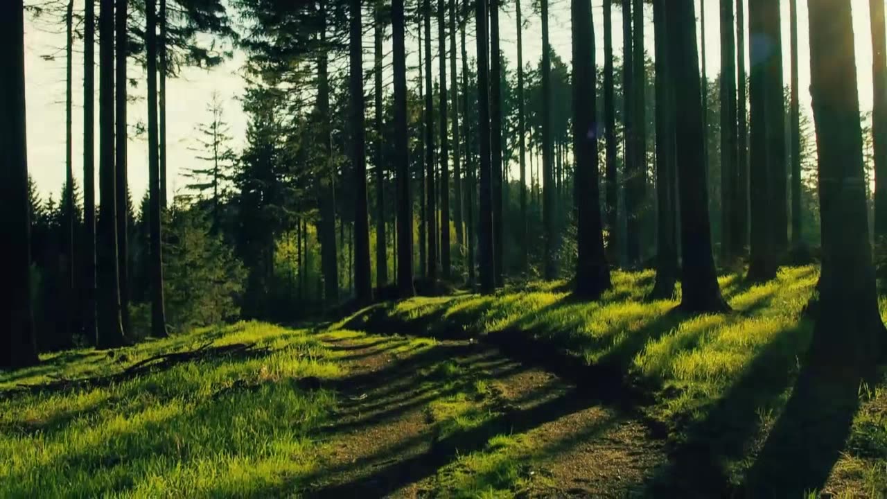 Pieśni Chrześcijańskie -Bogdan Pieczyrak