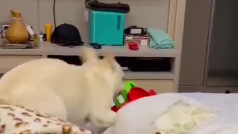 Funny kid