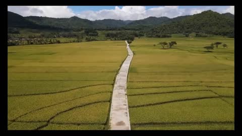 Natural scenery