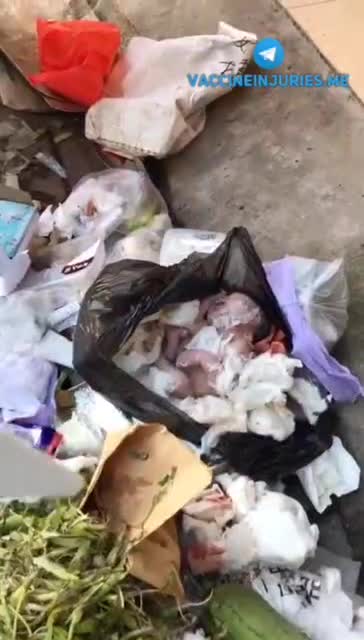 Abandoned babies appear in Shanghai's "Hongmei Jingyuan"! No one knows where the parents are, its been left to die...