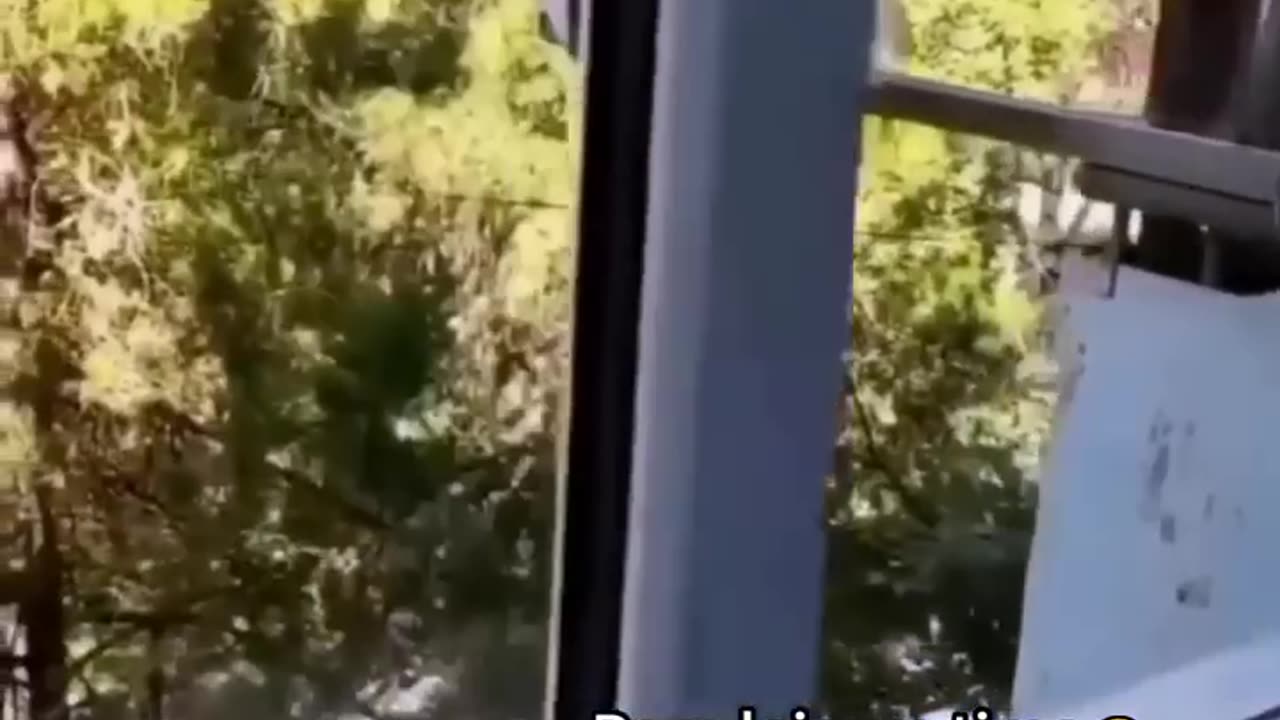 I will go by myself