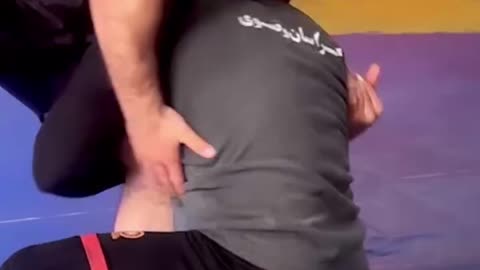 Wrestling Techniques