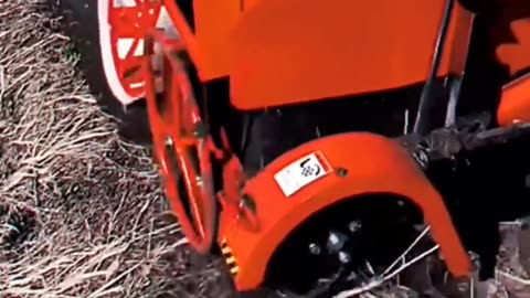 CRC vídeos curiosos