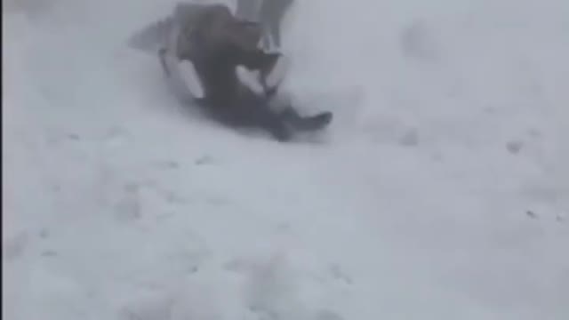 Try not to laugh funny fails