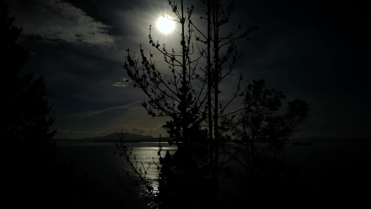 Mid Night Moon !