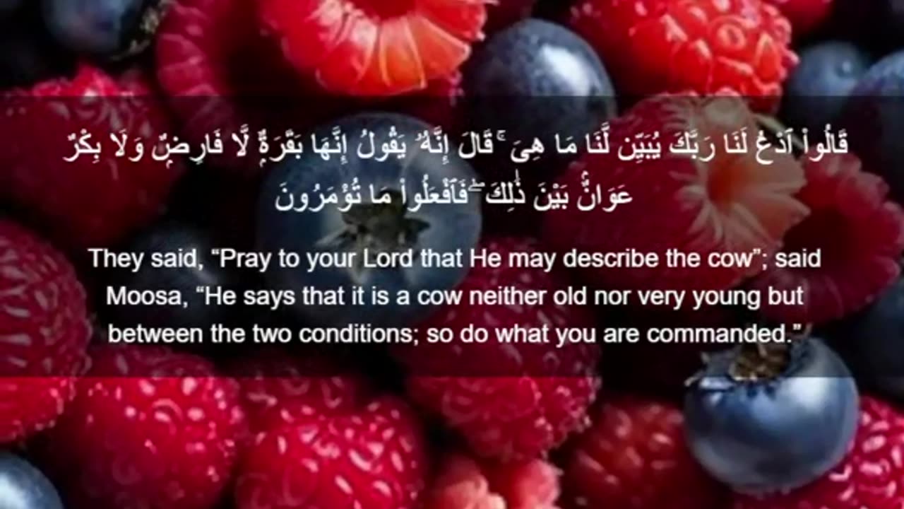 Beautiful recitation of the Holy Quran||تلاوة جميلة للقرآن الكريم