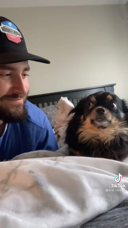 kiss your dog and record their reaction.mp4
