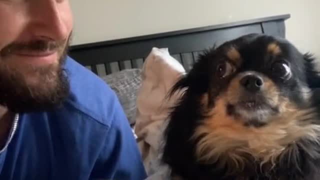 kiss your dog and record their reaction.mp4